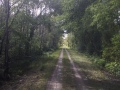 A nice shaded section between Dwyer Hill Rd and Jinkinson.