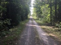 This is where that very large poplar tree had fallen across the trail. People we spoke too were using it as a landmark for their walks. (Pic1 of 2)