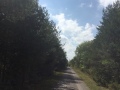 This is at Jinkinson Road looking west. (Pic1 of 2)